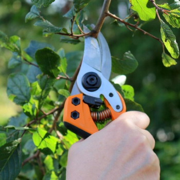 SEKATOR PROFESJONALNY PB-8 M FISKARS