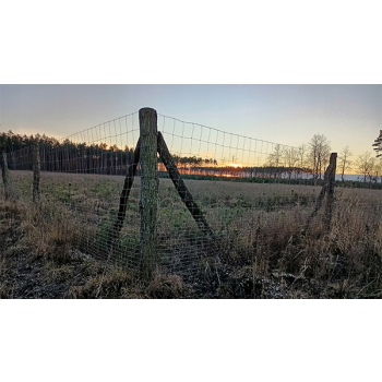 SIATKA LEŚNA - 150/12/30 L - 50 M