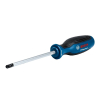 ZESTAW WKRĘTAKÓW TORX 6 SZT.
