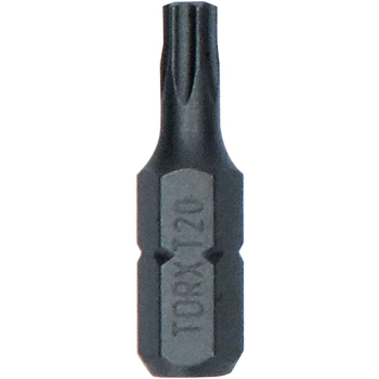 BIT, GROT, KOŃCÓWKA T20 25MM EXH 25PCS