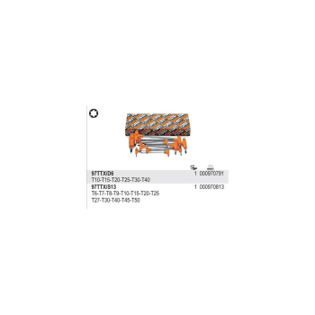 KOMPLET KLUCZY TRZPIENIOWO-KĄTOWYCH TORX 6SZT.10-40MM