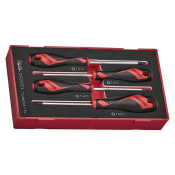 ZESTAW WKRĘTAKÓW TORX TEAMD04TXN, 4SZT.